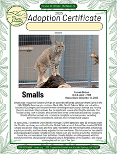 Smalls Adoption