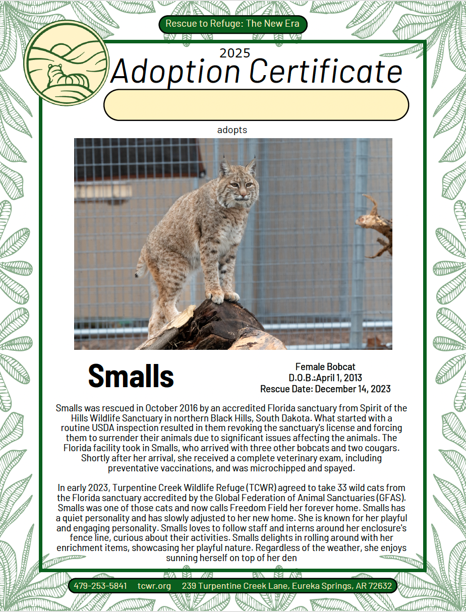 Smalls Adoption