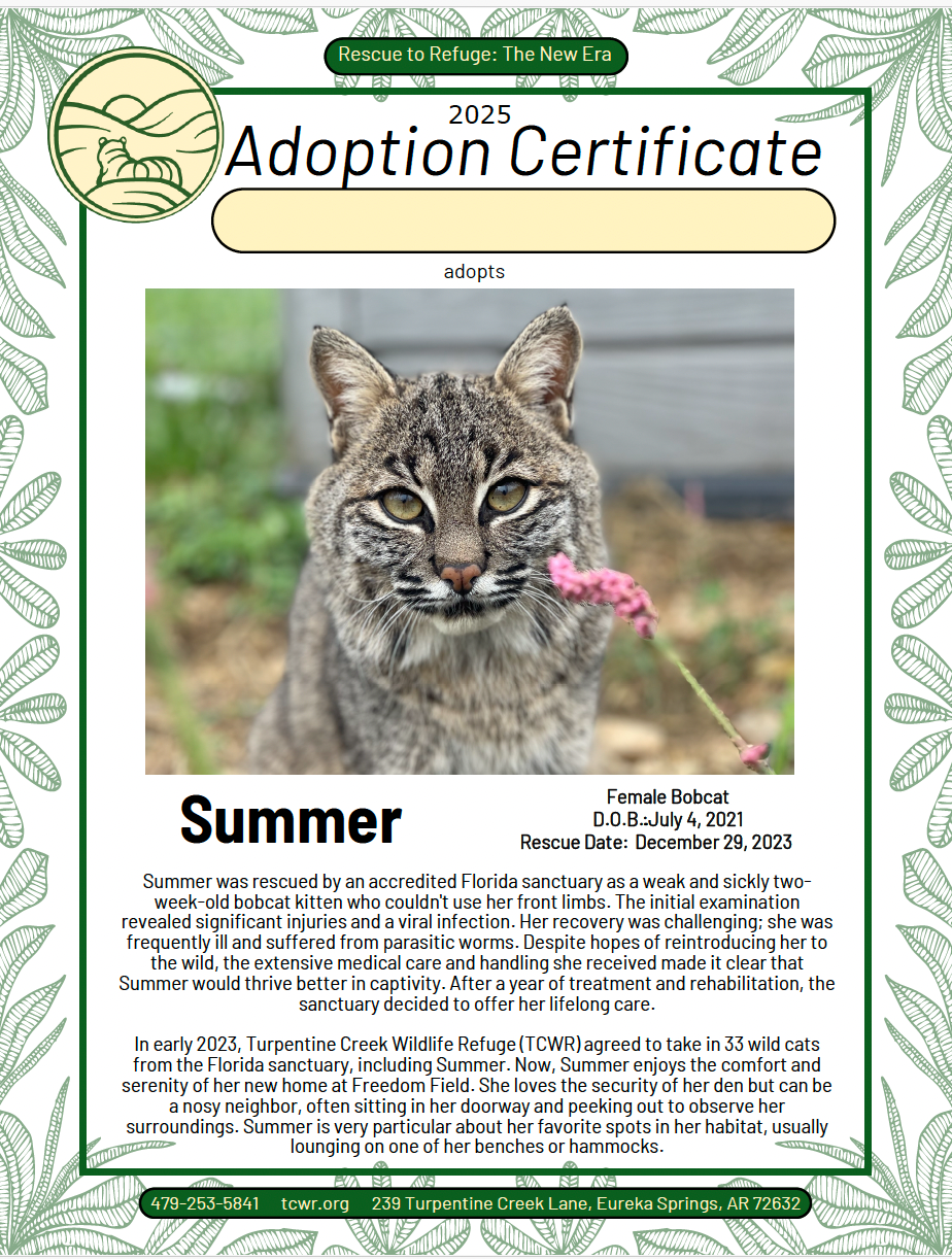 Summer Adoption