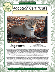 Ungowwa Lion Adoption