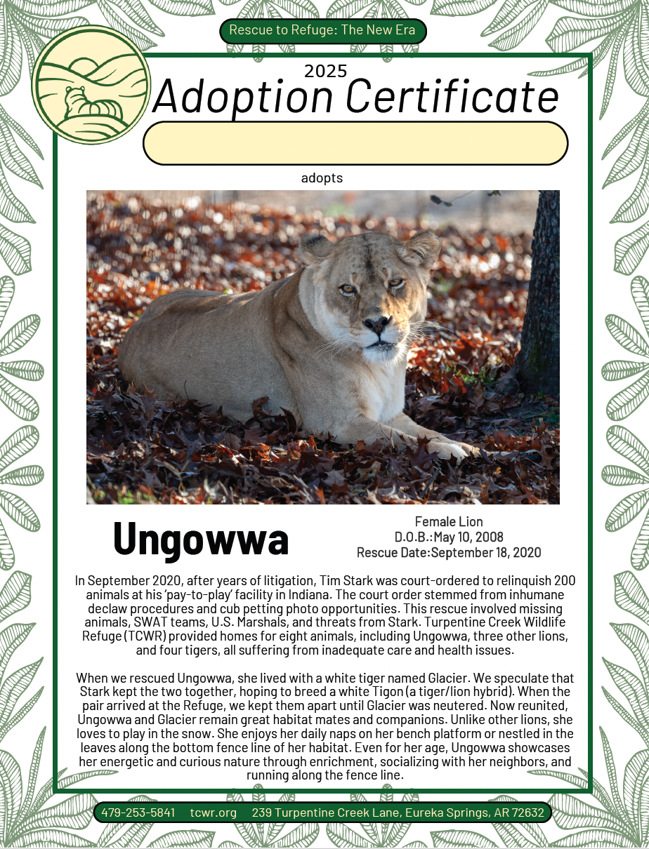 Ungowwa Lion Adoption