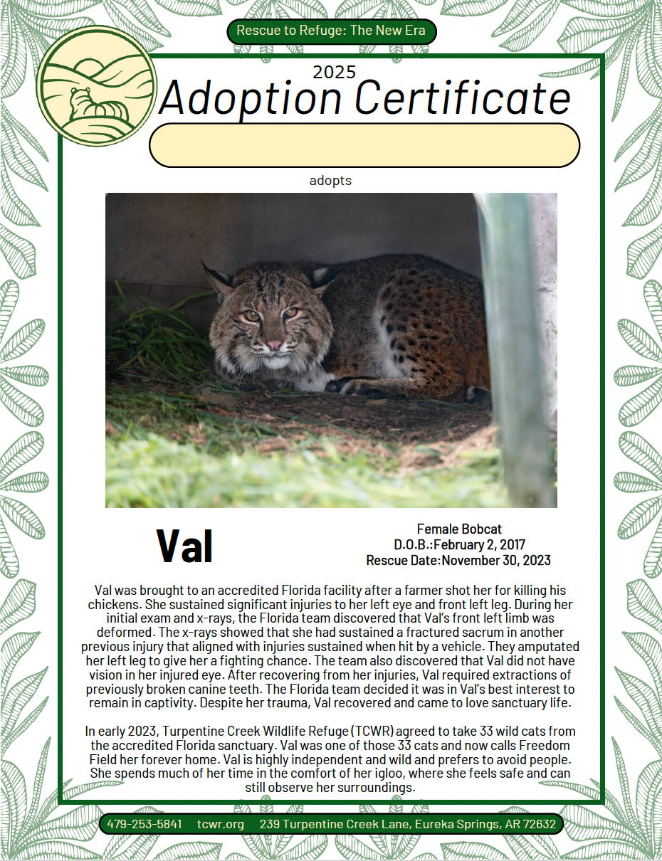 Val Adoption