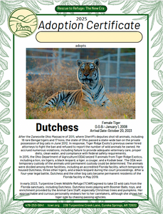 Dutchess Tiger Adoption