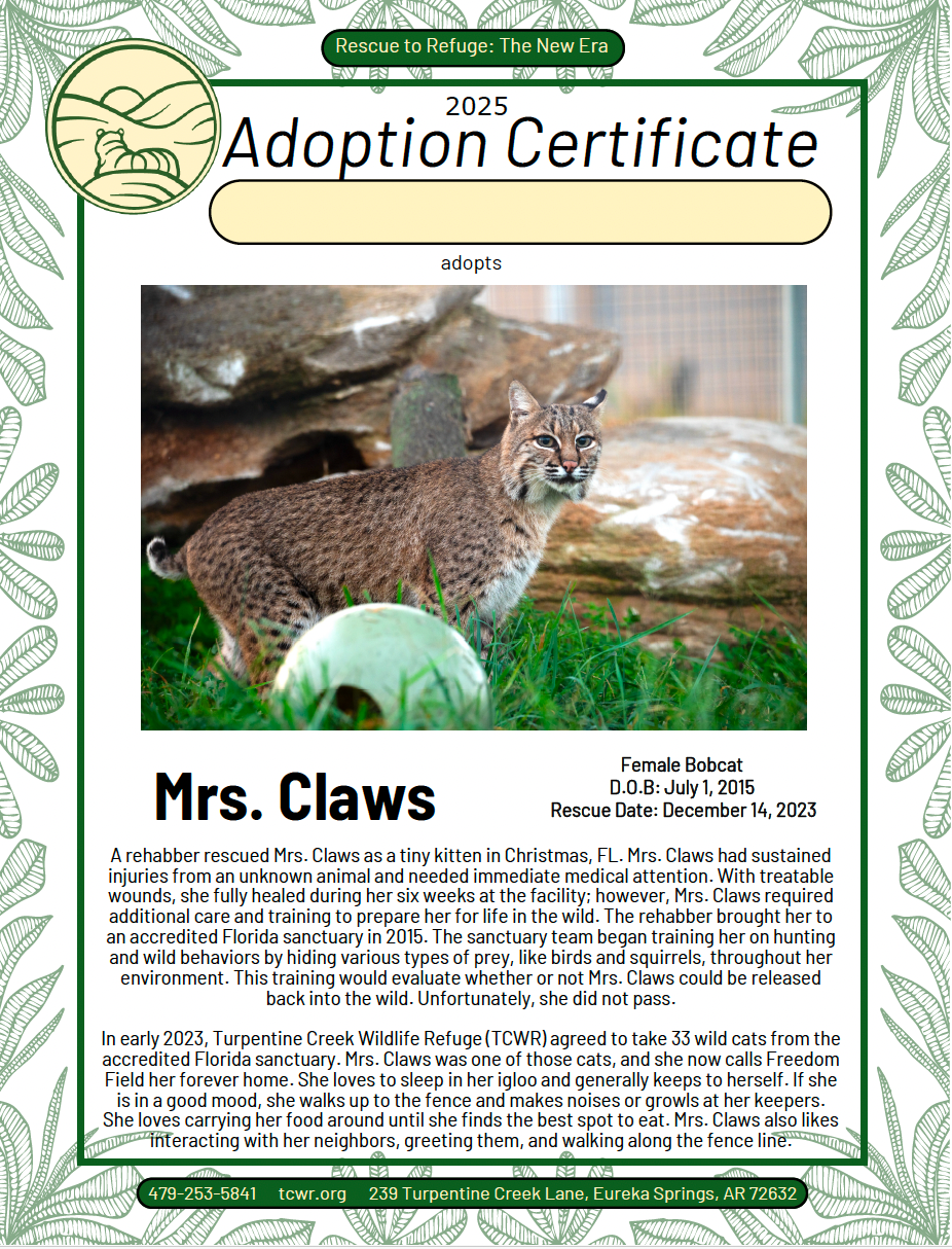 Mrs. Claws Adoption