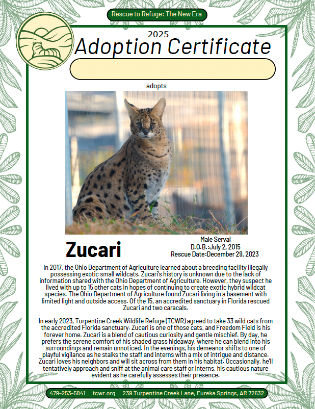 Zucari Adoption