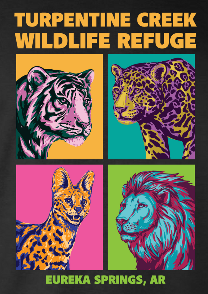 Pop Art Big Cat Adult T-Shirt