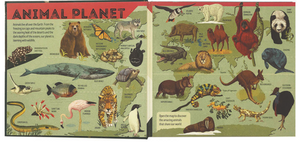 Animal Atlas