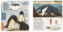Load image into Gallery viewer, Animal Atlas

