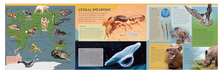 Load image into Gallery viewer, Deadly Animal Atlas
