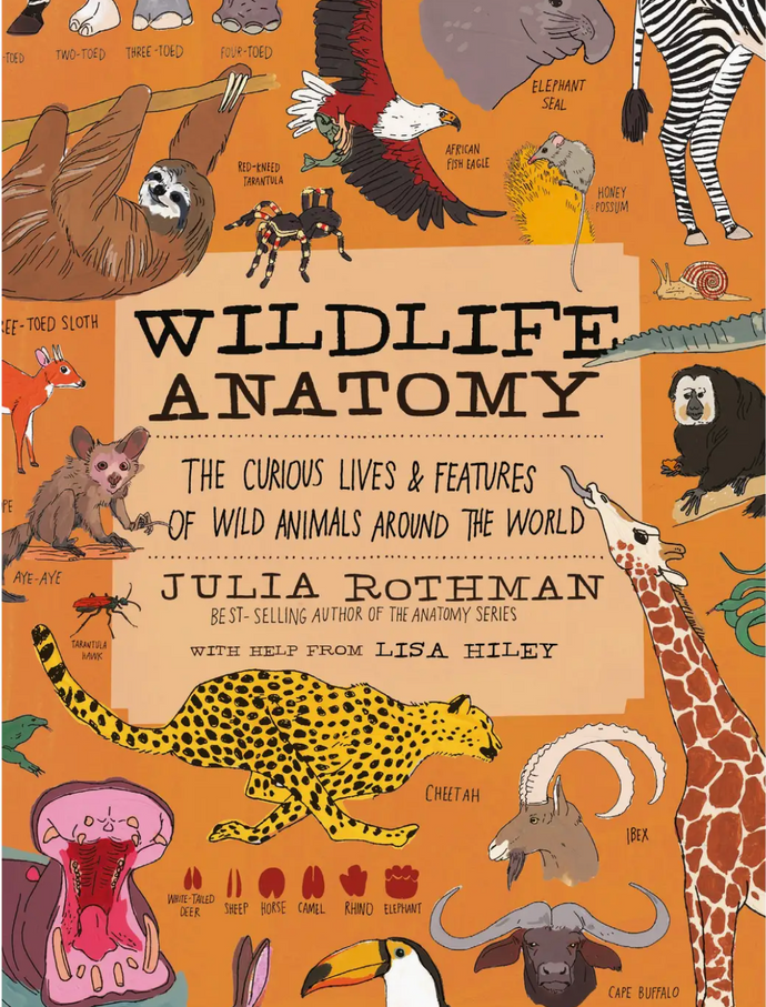Wildlife Anatomy: The Curious Lives & Features of Wild Animals Around The World