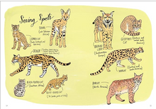 Load image into Gallery viewer, Wildlife Anatomy: The Curious Lives &amp; Features of Wild Animals Around The World
