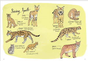 Wildlife Anatomy: The Curious Lives & Features of Wild Animals Around The World