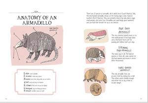 Wildlife Anatomy: The Curious Lives & Features of Wild Animals Around The World