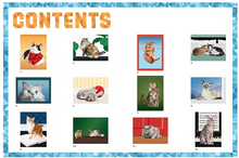 Load image into Gallery viewer, Paint By Stickers Book: Cats
