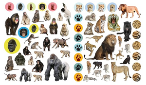 Wild Animals: Sticker Book