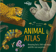 Load image into Gallery viewer, Animal Atlas
