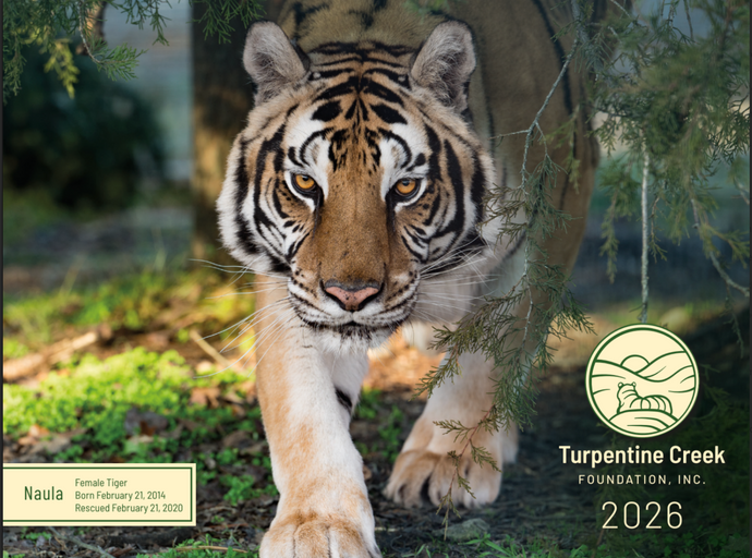 2026 TCWR Photo Calendar