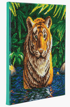 Load image into Gallery viewer, Tiger Crystal Art Mounted Kit
