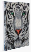 Load image into Gallery viewer, White Tiger Crystal Art Mounted Kit
