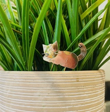 Load image into Gallery viewer, Happy Cat Plant Pal
