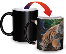Load image into Gallery viewer, Joey Image Reveal Mug

