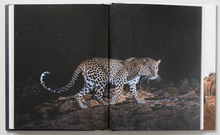 Load image into Gallery viewer, The Black Leopard Coffee Table Book
