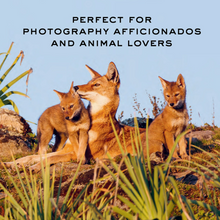 Load image into Gallery viewer, The Black Leopard Coffee Table Book
