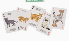 Load image into Gallery viewer, Cat Lover's Playing Cards
