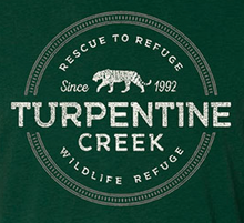 Load image into Gallery viewer, Radial Tiger Green Adult T-Shirt
