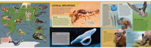Load image into Gallery viewer, Lonely Planet Kids Deadly Animal Atlas
