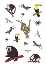 Load image into Gallery viewer, Wildlife Anatomy: Sticker Book
