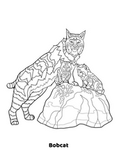 Load image into Gallery viewer, TCWR Custom Coloring Book
