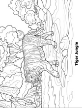 Load image into Gallery viewer, TCWR Custom Coloring Book
