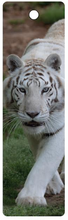 Load image into Gallery viewer, Photo Bookmark Kizmin
