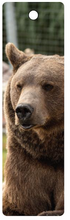 Load image into Gallery viewer, Photo Bookmark BamBam
