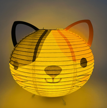 Load image into Gallery viewer, Kitty Paper Lantern
