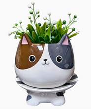 Load image into Gallery viewer, Cat's Meow Footsie Planter

