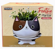 Load image into Gallery viewer, Cat's Meow Footsie Planter
