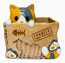 Load image into Gallery viewer, Cat in the Box Planter
