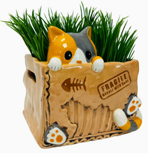 Load image into Gallery viewer, Cat in the Box Planter
