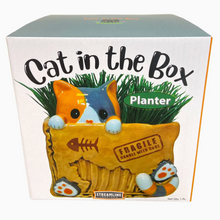 Load image into Gallery viewer, Cat in the Box Planter
