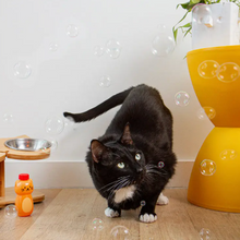 Load image into Gallery viewer, Catnip Bubbles
