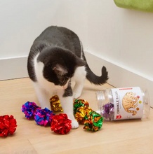 Load image into Gallery viewer, Crinkle Cat Toy Balls - Set of 10
