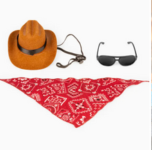 Load image into Gallery viewer, Kitty Cat Prop and Costume Kit
