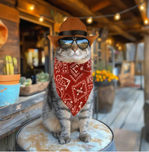 Load image into Gallery viewer, Kitty Cat Prop and Costume Kit
