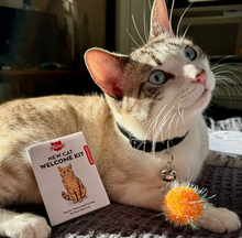 Load image into Gallery viewer, New Cat Welcome Home Kit
