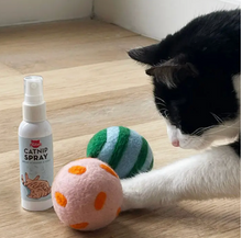 Load image into Gallery viewer, Spray and Play Cat Toys
