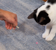 Load image into Gallery viewer, Rechargeable Laser Pointer Cat Toy
