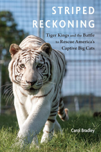Load image into Gallery viewer, Striped Reckoning: Tiger Kings and the Battle to Rescue America's Captive Big Cats
