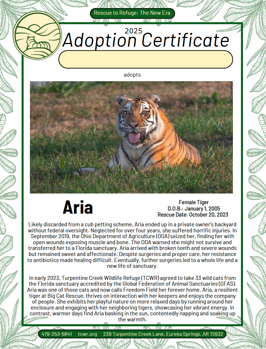 Aria Tiger Adoption